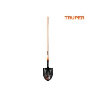 import placeholder for 5462